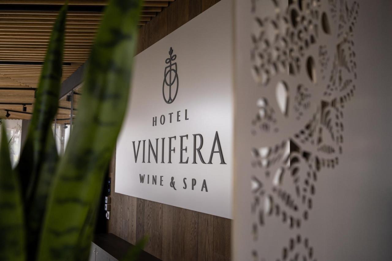 Hotel Vinifera Wine & Spa 5 Stars Superior 巴拉顿菲赖德 外观 照片